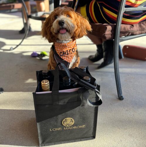 Dog in front of bag of Lone Madrone wines
